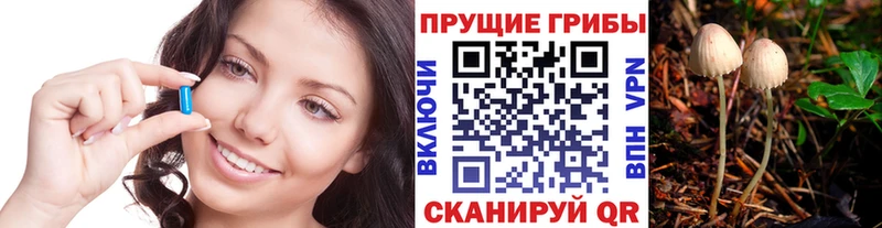 Галлюциногенные грибы Magic Shrooms Нолинск